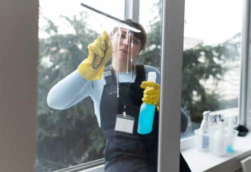 Nettoyage de vitres intérieures et extérieures à Massieux